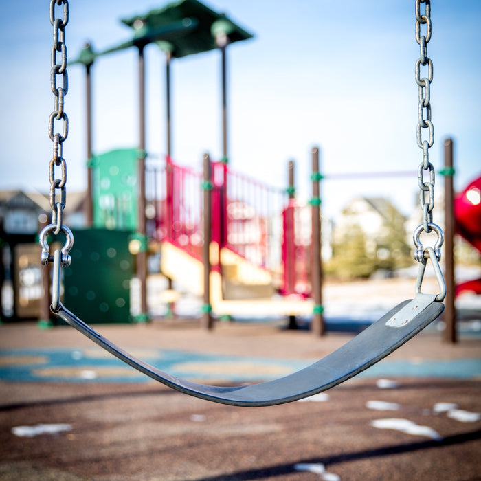 Create a Dream Playground on a Realistic Budget