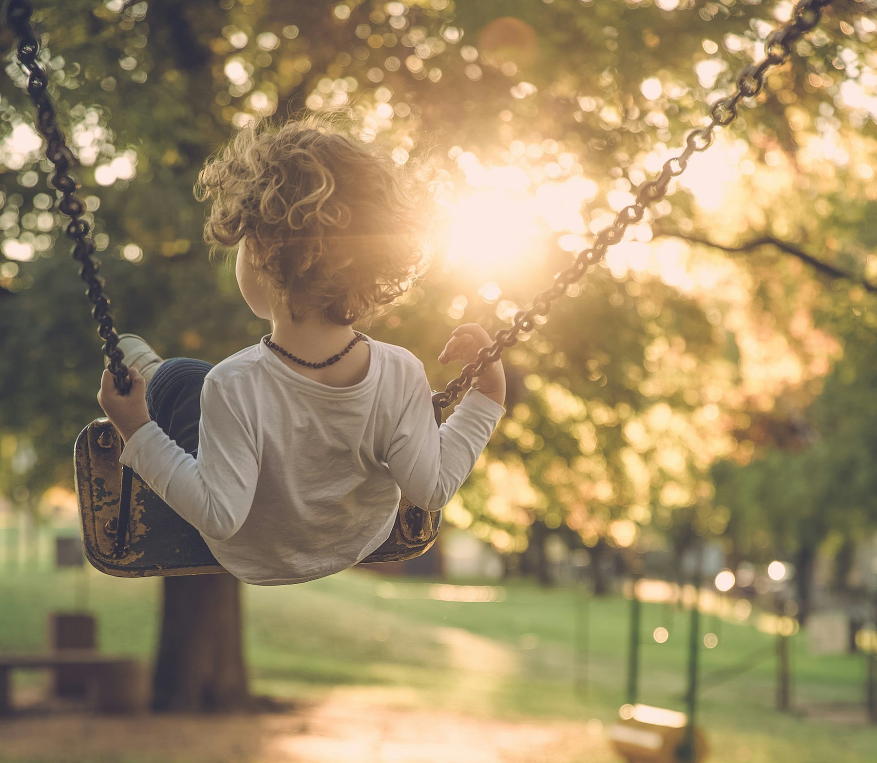 The Physics of the Playground Classroom: How Slides, Swings and Seesaws Teach Kids the Laws of Nature