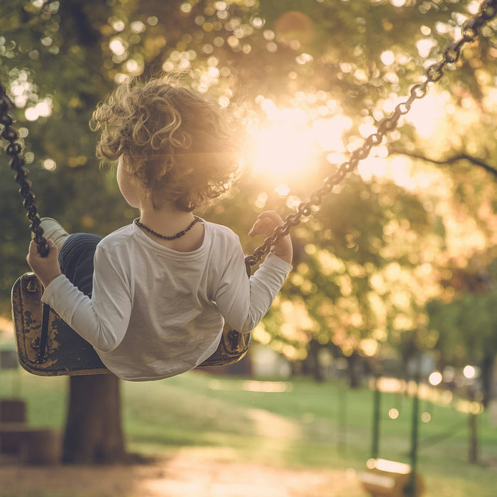 The Physics of the Playground Classroom: How Slides, Swings and Seesaws Teach Kids the Laws of Nature