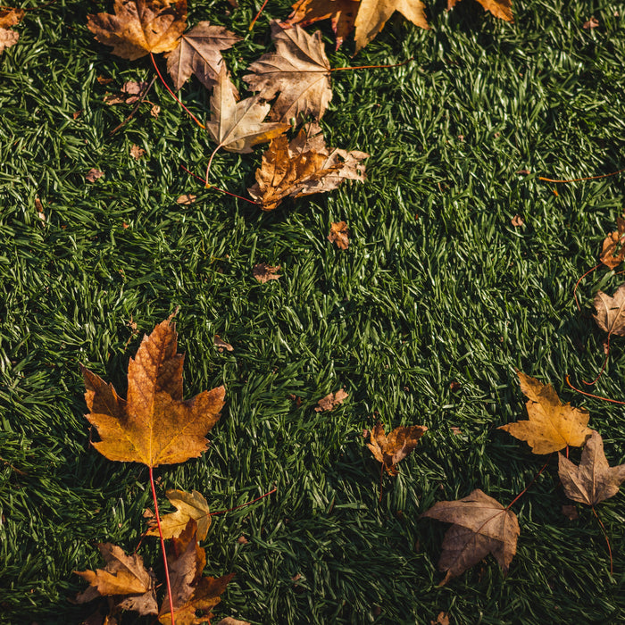 Why Fall is the Ideal Season to Upgrade to Playground Synthetic Turf