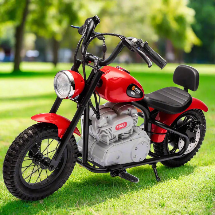 Freddo Toys 36V Freddo E-Chopper, Leather Seat, Rubber Air Wheels, Brushless Motor FR6446