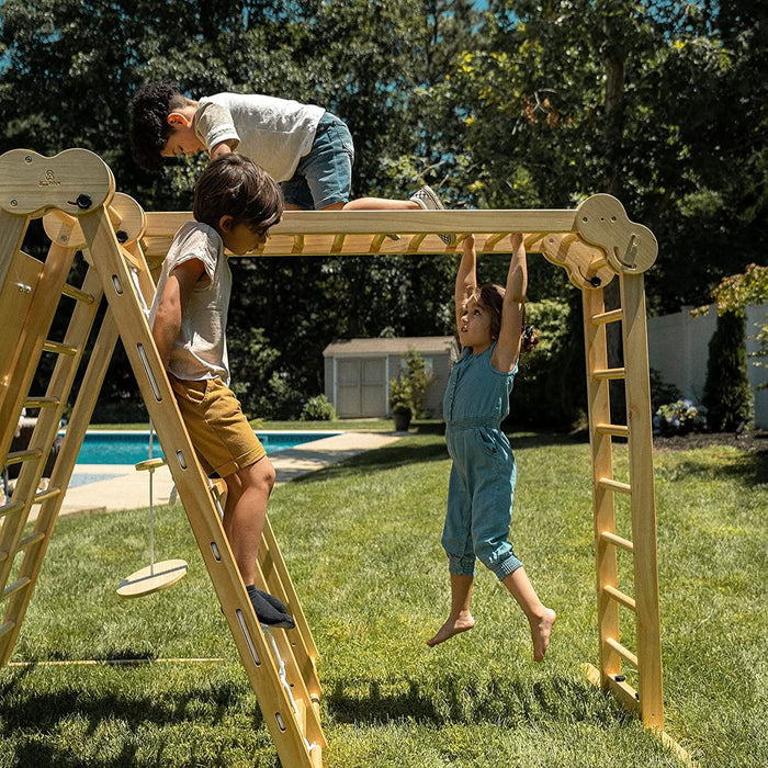 Avenlur Chestnut 8-in-1 Jungle Gym for Toddlers | Indoor & Outdoor Wooden Playset AVNLR-WD-CLBR-LG-FLD-OUT-V2-NY