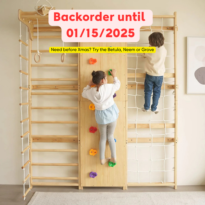 Avenlur Walnut 9-in-1 Swedish Ladder Wall Gym | Indoor Wooden Climber & Activity Set for Kids AVNLR-SWDSH-WALL-NAT