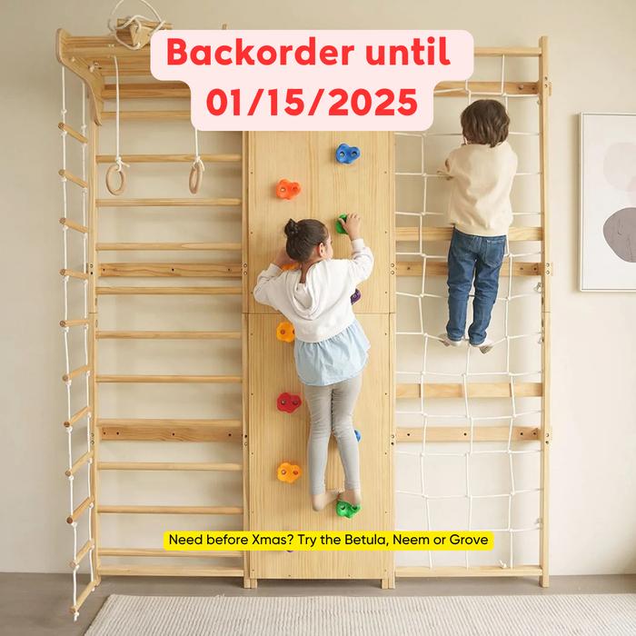 Avenlur Walnut 9-in-1 Swedish Ladder Wall Gym | Indoor Wooden Climber & Activity Set for Kids AVNLR-SWDSH-WALL-NAT