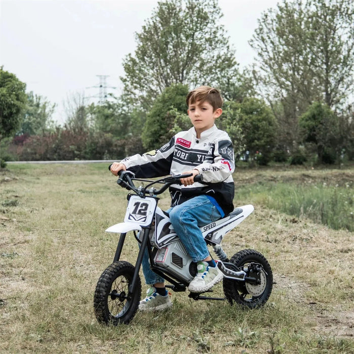 Freddo Toys 36V Freddo Electric Dirt Bike with Brushless Motor FR6336