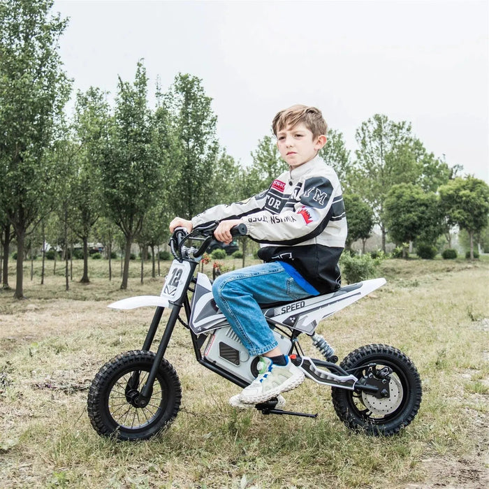 Freddo Toys 36V Freddo Electric Dirt Bike with Brushless Motor FR6336