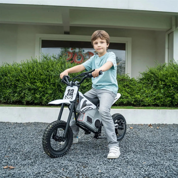 Freddo Toys 36V Freddo Electric Dirt Bike with Brushless Motor FR6336