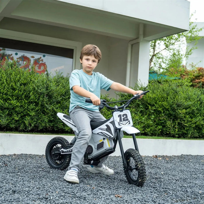 Freddo Toys 36V Freddo Electric Dirt Bike with Brushless Motor FR6336