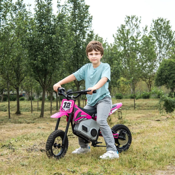 Freddo Toys 36V Freddo Electric Dirt Bike with Brushless Motor FR6336