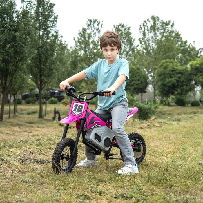 Freddo Toys 36V Freddo Electric Dirt Bike with Brushless Motor FR6336