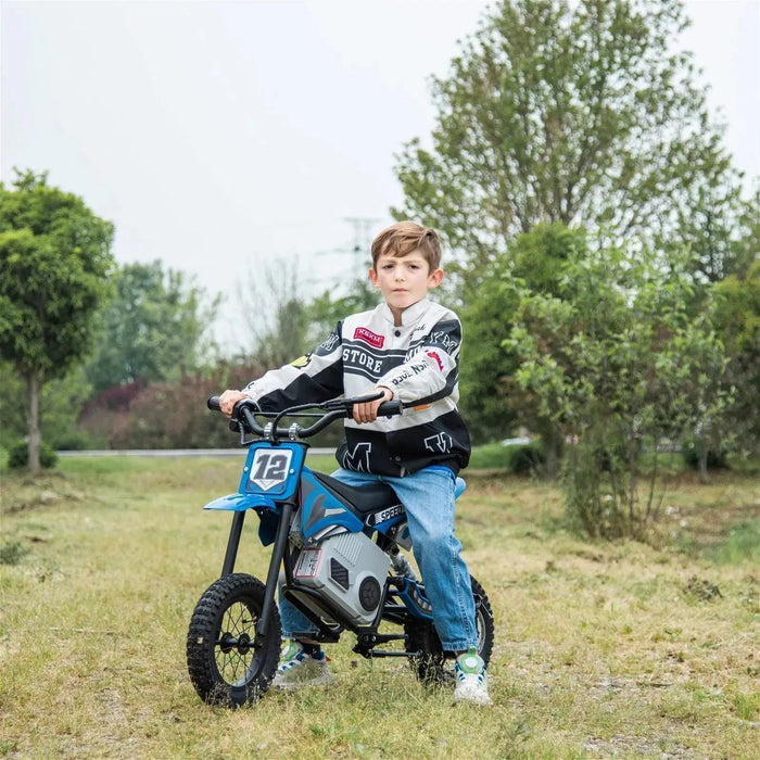 Freddo Toys 36V Freddo Electric Dirt Bike with Brushless Motor FR6336