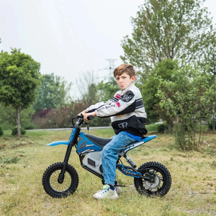 Freddo Toys 36V Freddo Electric Dirt Bike with Brushless Motor FR6336