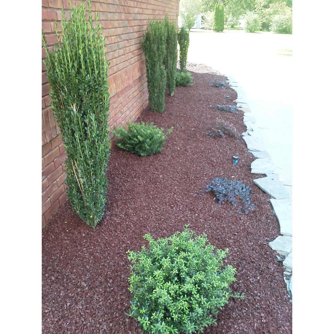 Rubber Mulch Landscape Rubber Mulch | Cocoa Brown BRN-MULCH-LNDSCPE