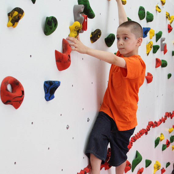 Everlast Climbing Dry-Erase Home Climbing Wall ECDisc