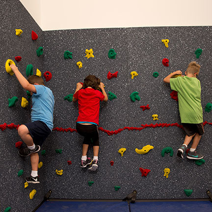 Everlast Climbing Magna® Traverse Climbing Wall ECMagna