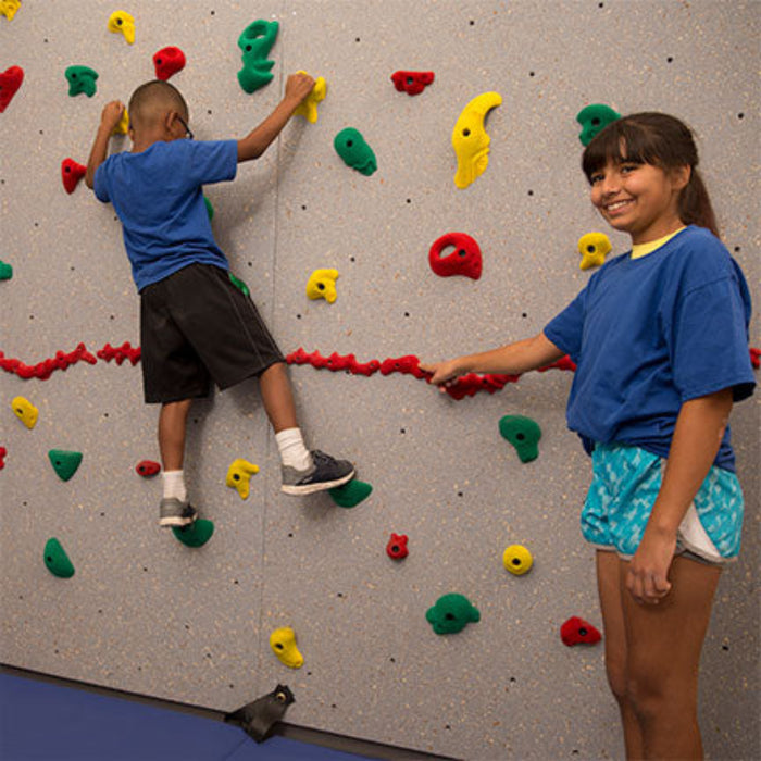 Everlast Climbing Standard Climbing Wall ECStd