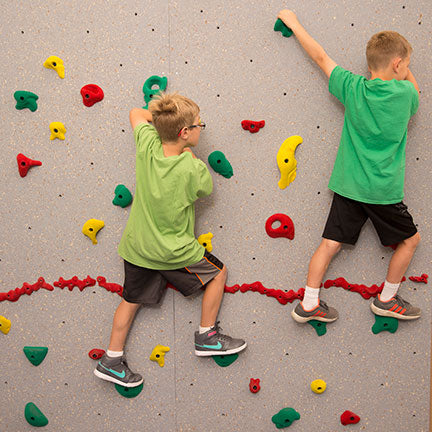 Everlast Climbing Standard Climbing Wall ECStd