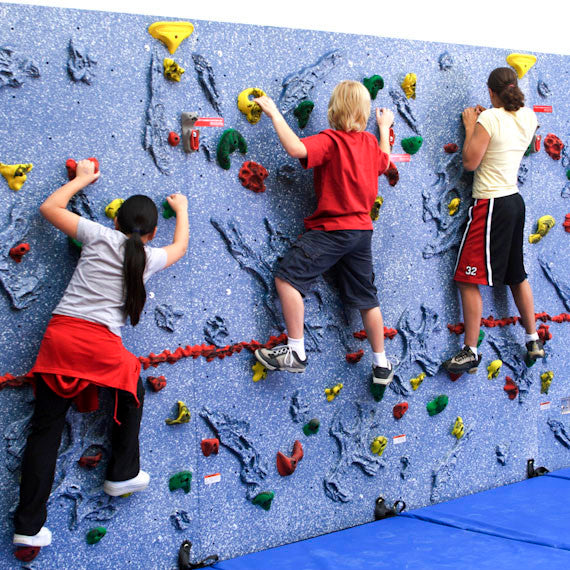 Everlast Climbing Magna® Relief Feature™ Climbing Wall ECMagRF