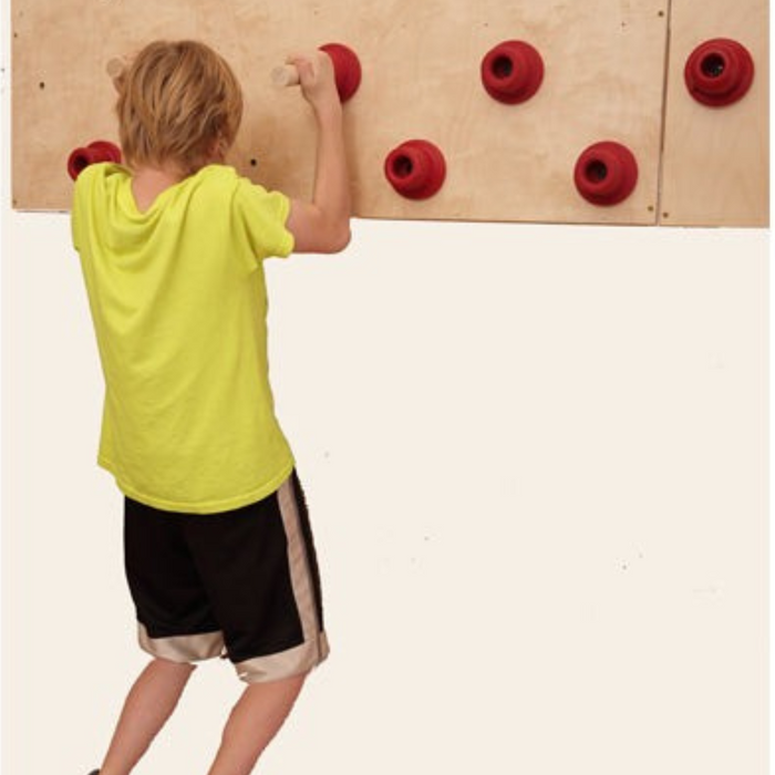 Everlast Climbing Peg Board Indoor Climbing Wall ACC.PEGBOARD