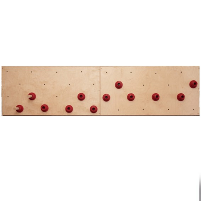 Everlast Climbing Peg Board Indoor Climbing Wall ACC.PEGBOARD