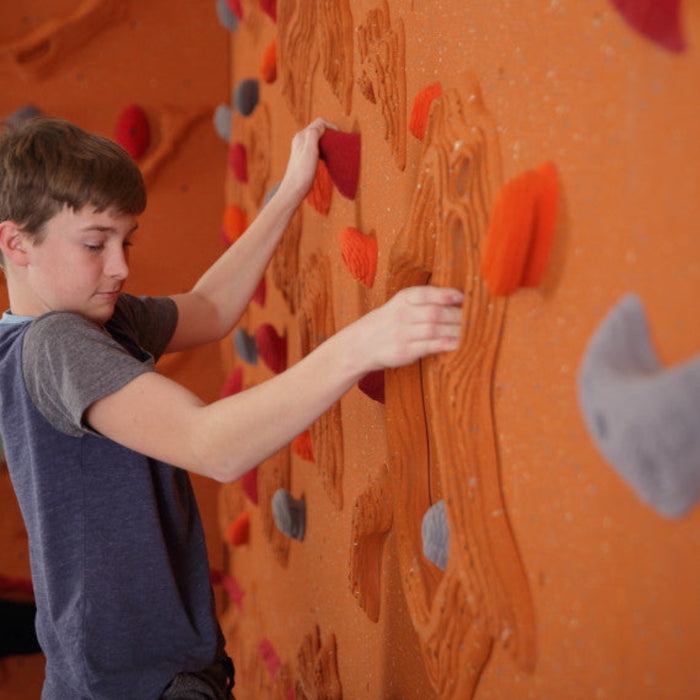 Everlast Climbing Sandstone Relief Feature™ Climbing Wall ECSand