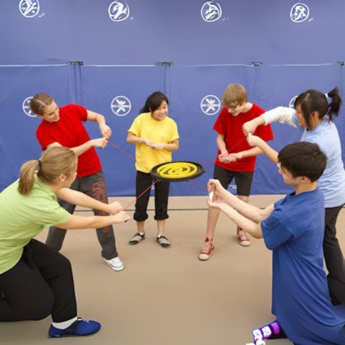 Everlast Climbing Team Building Indoor Game Marble Maze Team.MarbleMaze