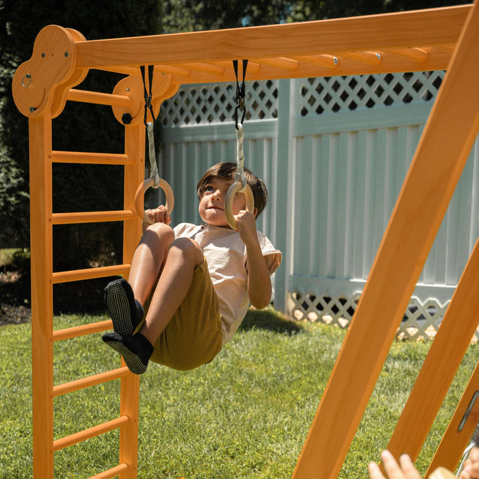 Avenlur Chestnut 8-in-1 Jungle Gym for Toddlers | Indoor & Outdoor Wooden Playset AVNLR-WD-CLBR-LG-FLD-OUT-V2-NY