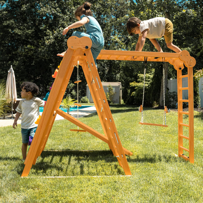 Avenlur Chestnut 8-in-1 Jungle Gym for Toddlers | Indoor & Outdoor Wooden Playset AVNLR-WD-CLBR-LG-FLD-OUT-V2-NY