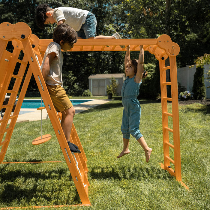 Avenlur Chestnut 8-in-1 Jungle Gym for Toddlers | Indoor & Outdoor Wooden Playset AVNLR-WD-CLBR-LG-FLD-OUT-V2-NY