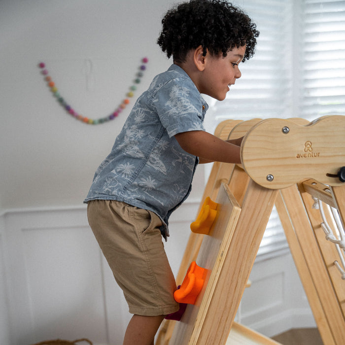 Avenlur Chestnut - 8-in-1 Jungle Gym for Toddlers AVNLR-WD-CLBR