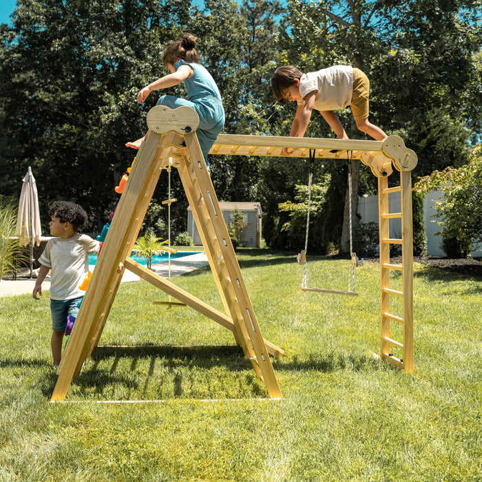 Avenlur Chestnut - 8-in-1 Jungle Gym for Toddlers AVNLR-WD-CLBR