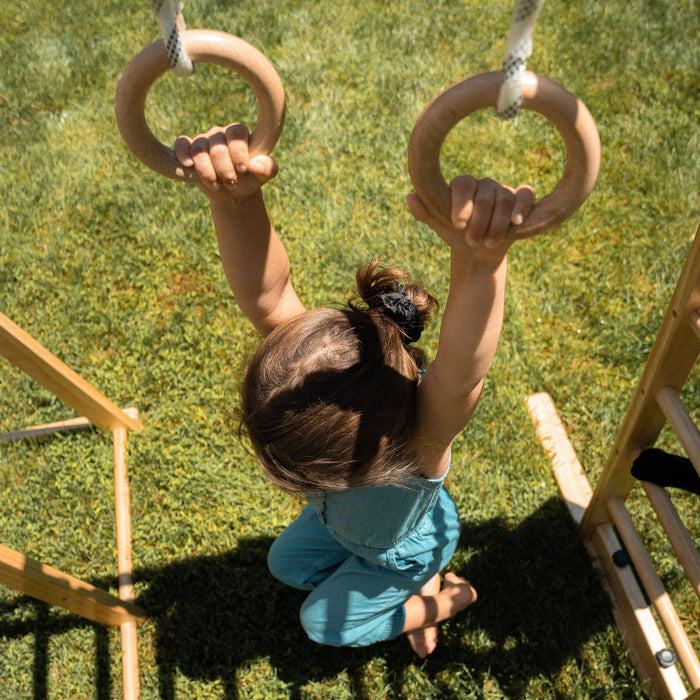 Avenlur Chestnut - 8-in-1 Jungle Gym for Toddlers AVNLR-WD-CLBR