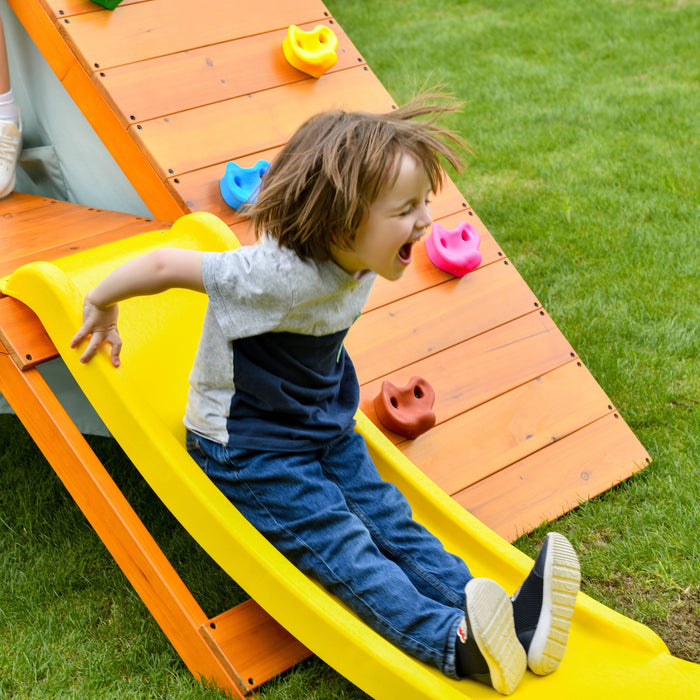 Avenlur Palm - 5-in-1 Outdoor and Indoor Playground Playset AVNLR-PLM-CLMBR-OTDR-V3-NY