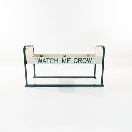 PlayTime Watch Me Grow Flower Box 11650