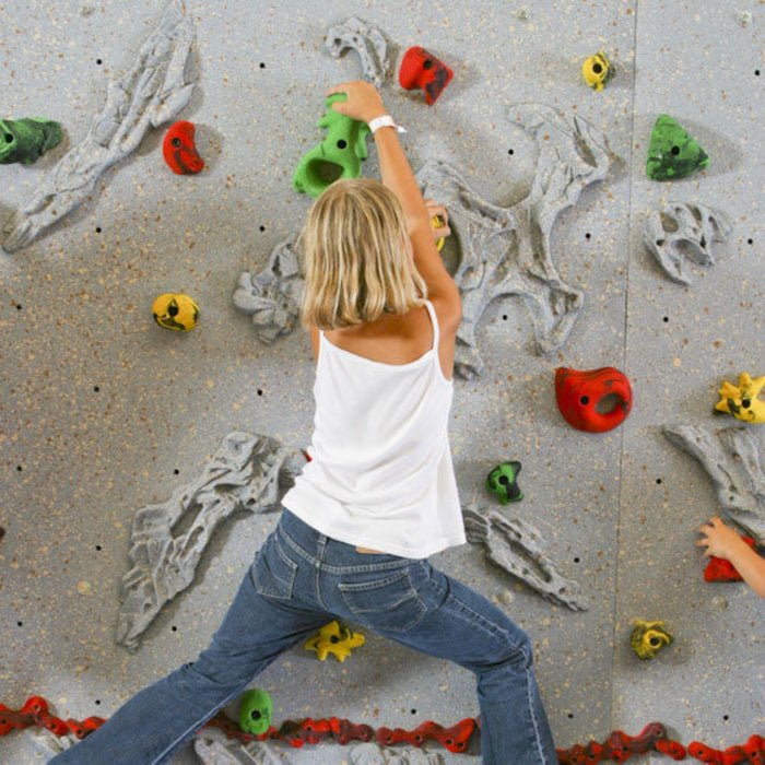 Everlast Climbing Relief-Feature™ Climbing Wall ECRF