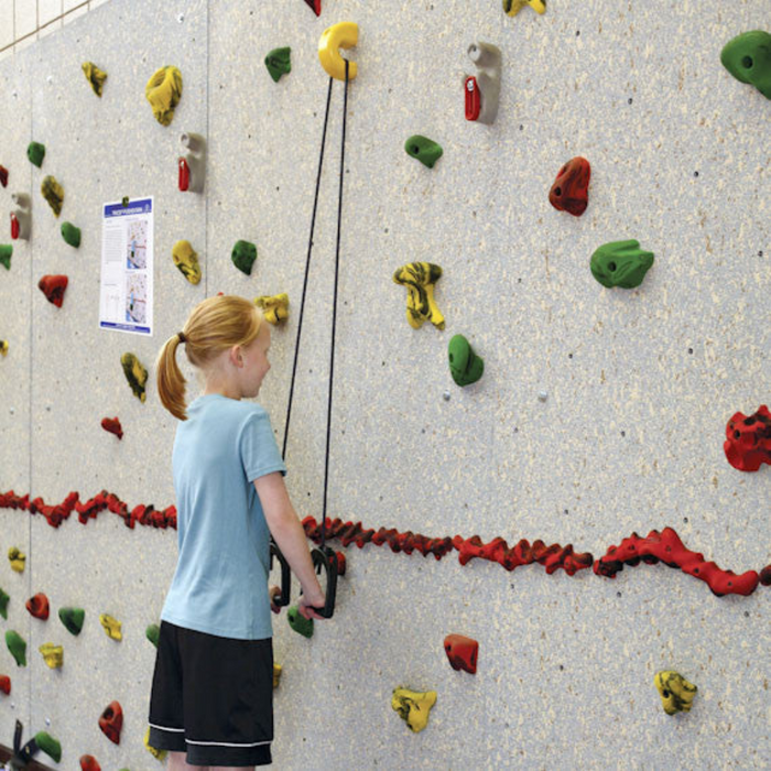 Everlast Climbing StartFit® Climbing Wall Fitness System SFIT